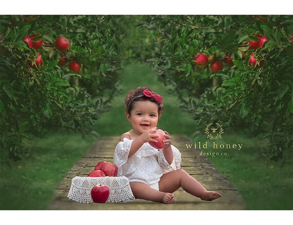 The Apple Orchard Backdrop Painterly Apples Wood Apple - Etsy