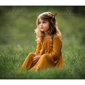 Lush Meadow Digital Backdrop, Grasses, Spring, Green Bokeh, Digital Background for Photography