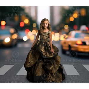 City Lights Digital Backdrop, Digital Background for Photography, Town, Street Lights, Taxi cabs, Avenue, Composite