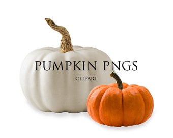 May include: Two pumpkins, one white and one orange. The white pumpkin has a brown stem. The orange pumpkin has a green stem. PUMPKIN PNGS CLIPART is written in black text on the image.