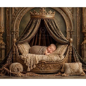 May include: A newborn baby wrapped in a brown cloth sleeps inside an ornate gold-toned cradle bed. The bed features a canopy with dark green and gold patterned fabric, a crown-shaped top, and decorative pillows with tassels and fringe trim.