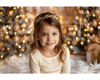 Fotohintergrund Weihnachten Winter – 208x150 Cm, Mit Schnee, Bäumen & Glitzer Für Studio Oder Party