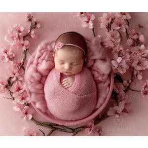 May include: A newborn baby wrapped in a pink knitted blanket, sleeping in a pink bowl surrounded by pink cherry blossom branches.
