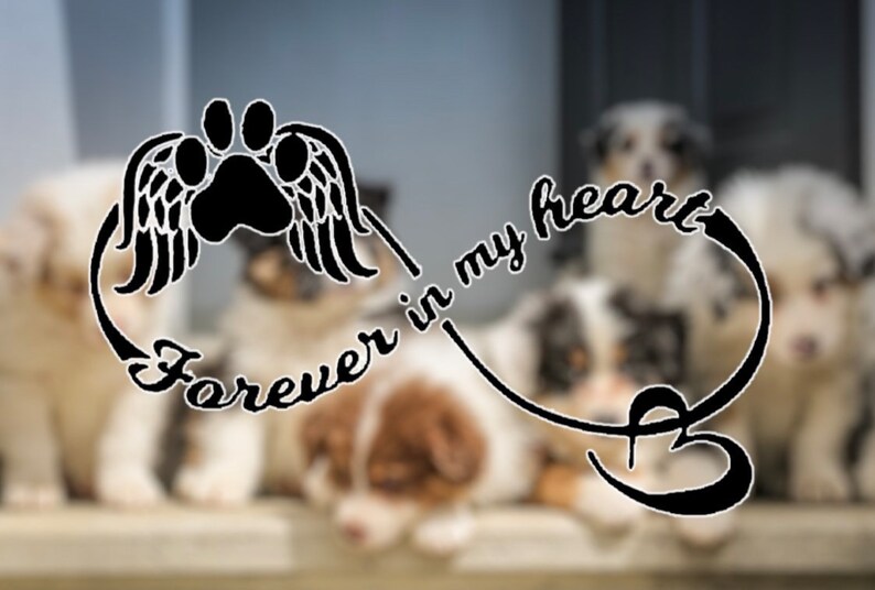 Pet In memory of your pet vinyl decal, fur baby, rainbow bridge, dog, cat, puppy, kitten image 7