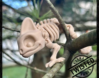Scheletro stampato in 3d Camaleonte spettrale