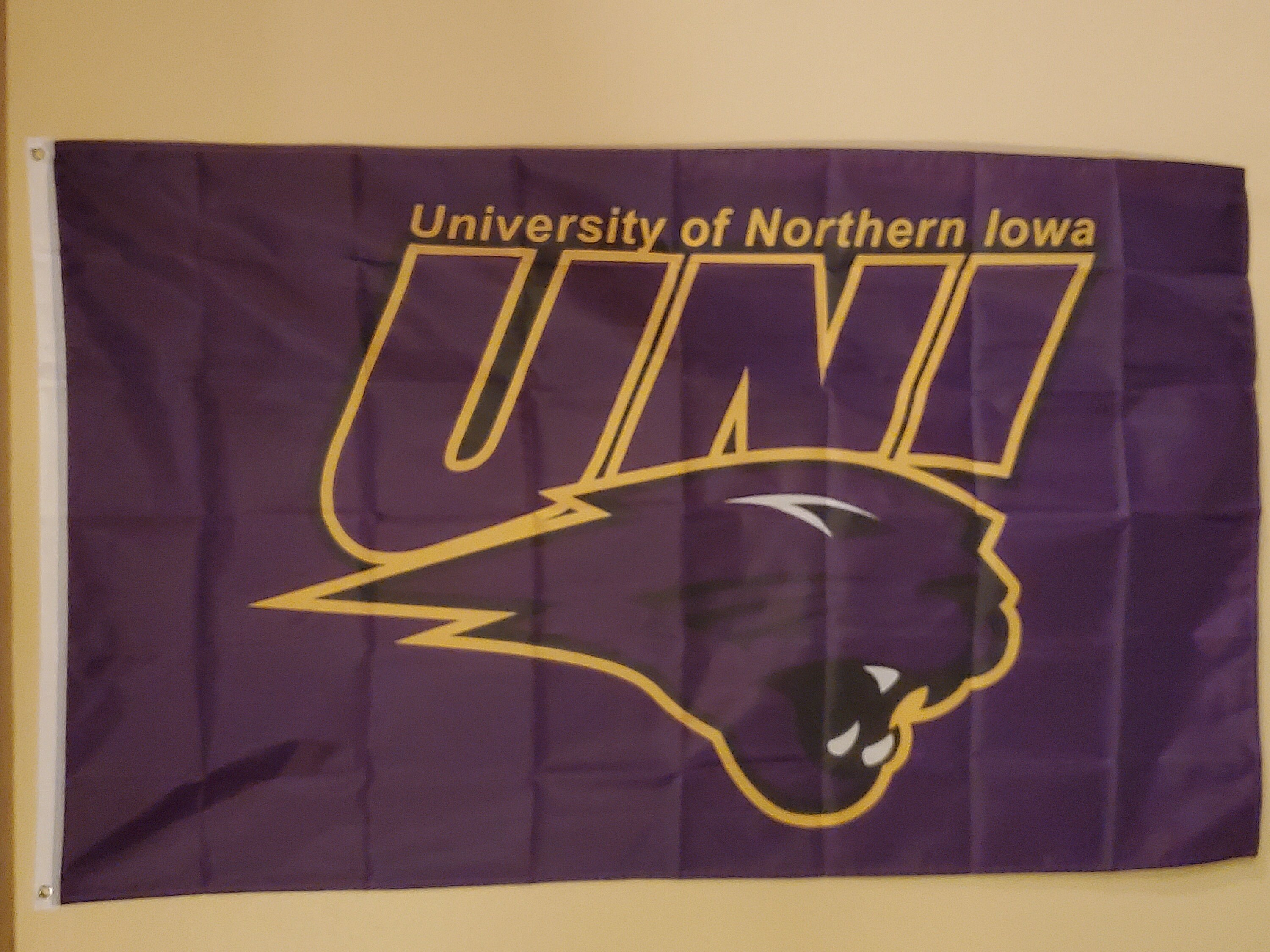 University Northern Iowa Panthers 3 X 5 Flag #119 - Etsy