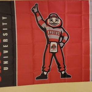 The Ohio State Buckeyes Brutus  3 x 5 Flag #151