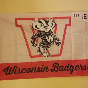 Wisconsin Badgers EST 1848 3 x 5 Flag #76