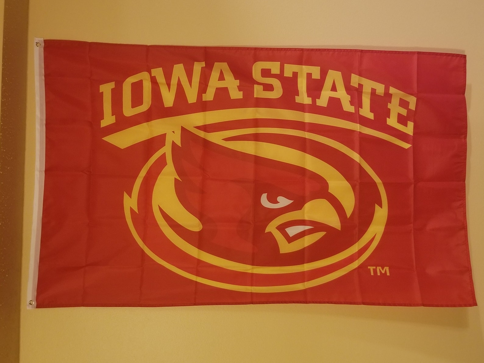 Iowa State Cyclone 3 X 5 Flag 61 Etsy
