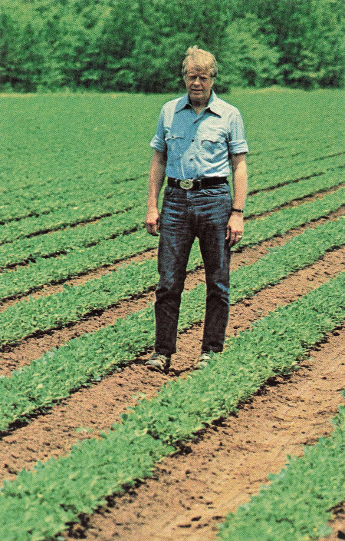 Jimmy Carter Farmed Peanuts 2025 Gerta Juliana
