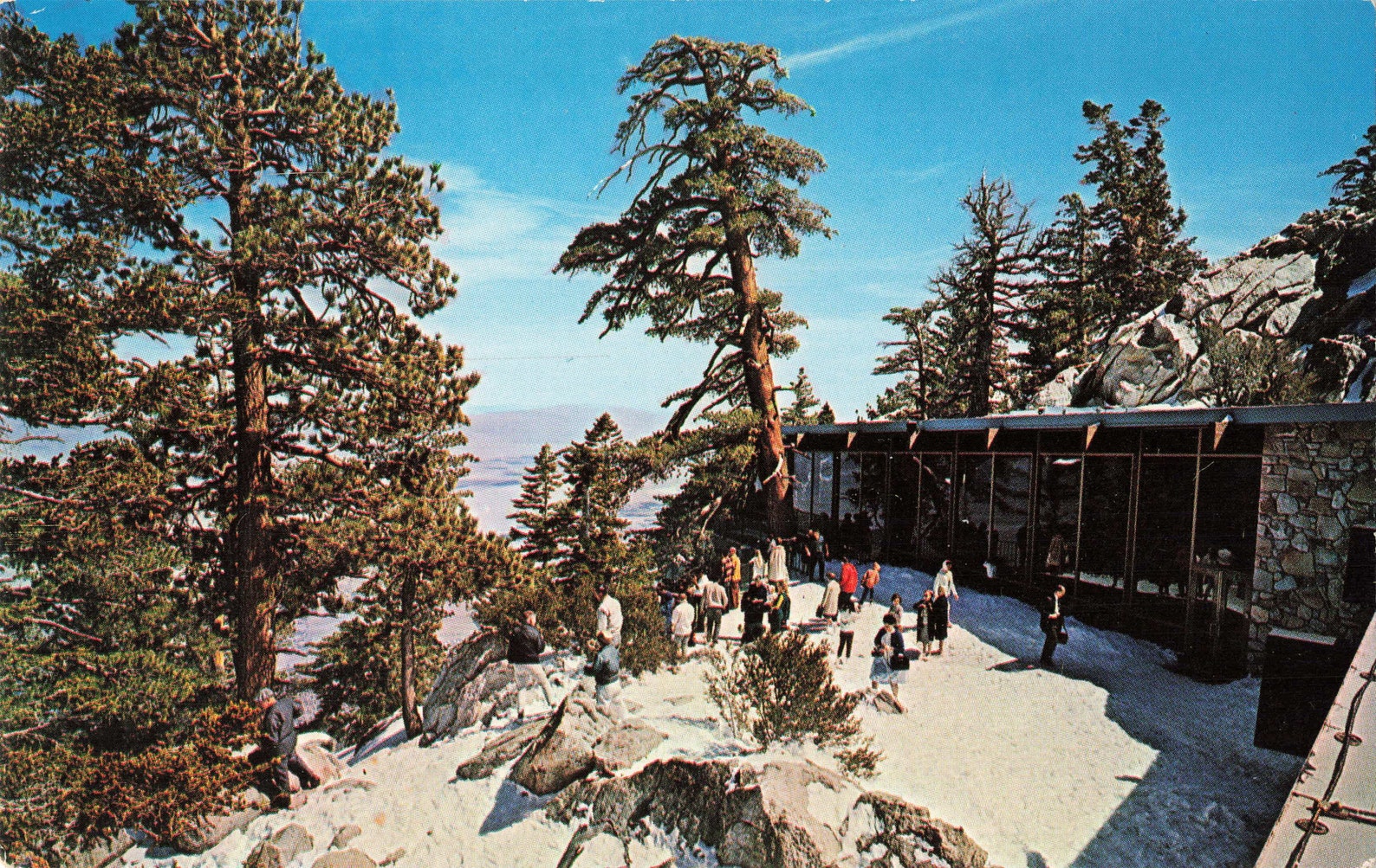 Postcard Aerial Tramway Palm Springs California | Etsy