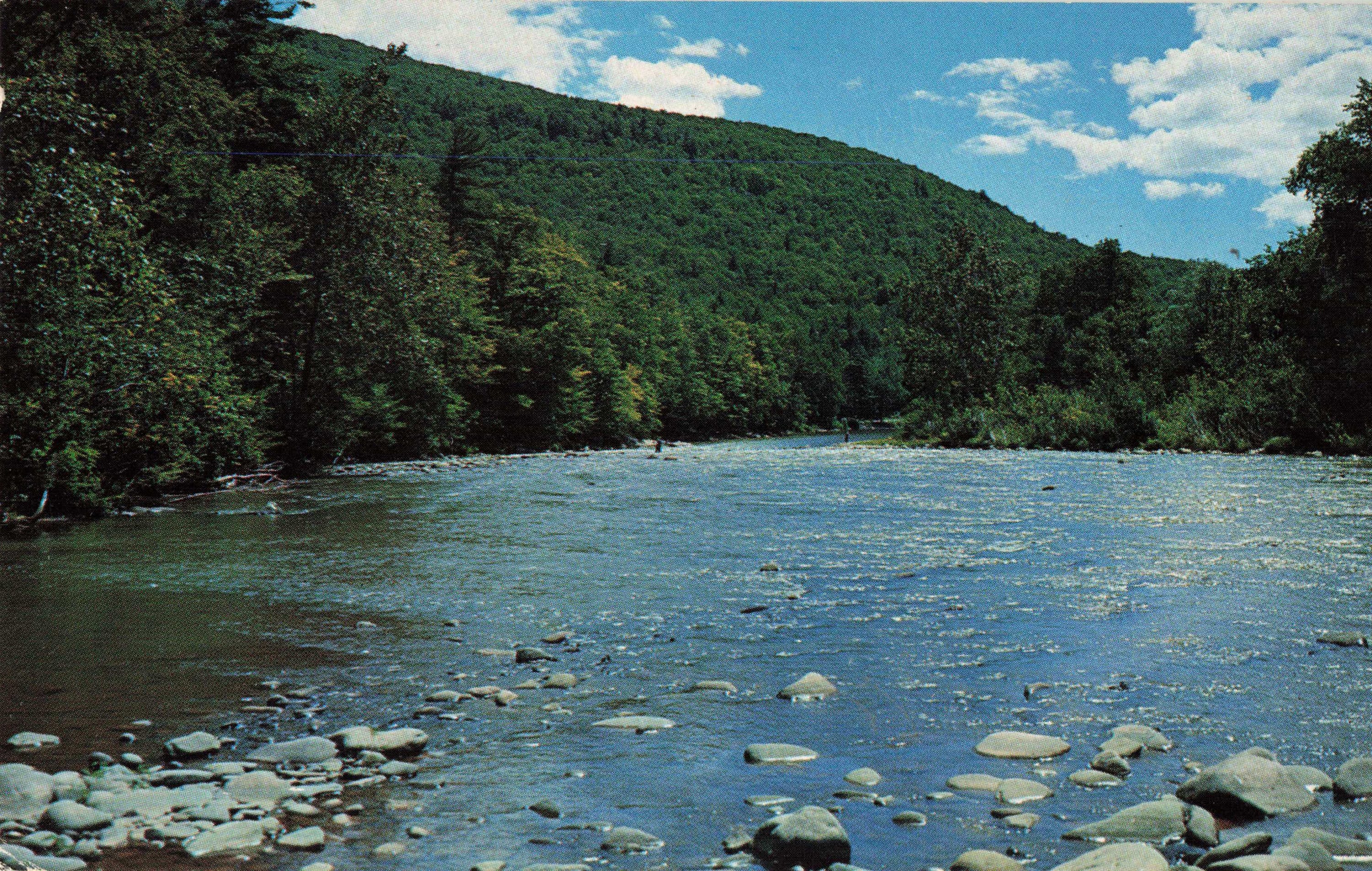 Postcard East Branch Delaware River Margaretville New York Etsy