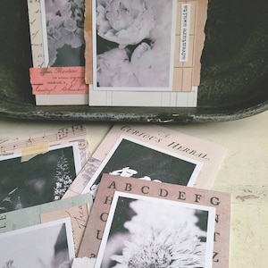 Puede incluir: Una colección de efímeras de papel de estilo vintage, que incluye fotografías de flores, ilustraciones botánicas y texto manuscrito. Las piezas están dispuestas sobre una superficie clara, con las palabras "adventure awaits" visibles.