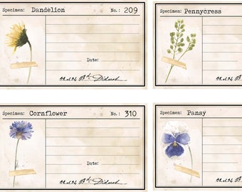 Journalkarten mit gepresster Blume, Vintage Botanicals, digital bedruckbar, Junk Journal Ephemera, Botanische Karten, Junk Journal Tuck In