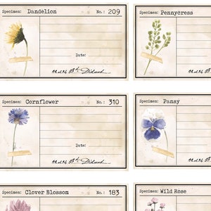 Tarjetas de diario con flores prensadas, botánica vintage, imprimible digital, efímera para diario basura, tarjetas botánicas, material para guardar en diario basura
