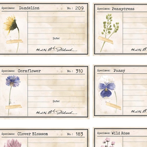 Cartes de journal de spécimens de fleurs pressées, plantes botaniques vintage, impression numérique, éphémères de journal indésirable, cartes botaniques, journal indésirable à rentrer