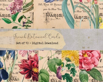 French Botanicals Journal Cards, Digital Printable, Vintage Botanicals, Junk Journal Ephemera, French Ephemera, Vintage Florals, Flowers