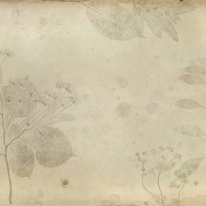 Grungy Vintage Style Paper, Digitale Download, Collage Papier, Vervaagd Bloemen Papier, Grungy Botanische Papieren, Afdrukbaar Papier,