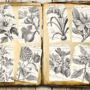 Shabby Botanische Tags, Floral Ledger Tags, Digitale Afdrukbare, Afdrukbare Tags, Floral Ephemera, Junk Journal Tags, vintage bloemen