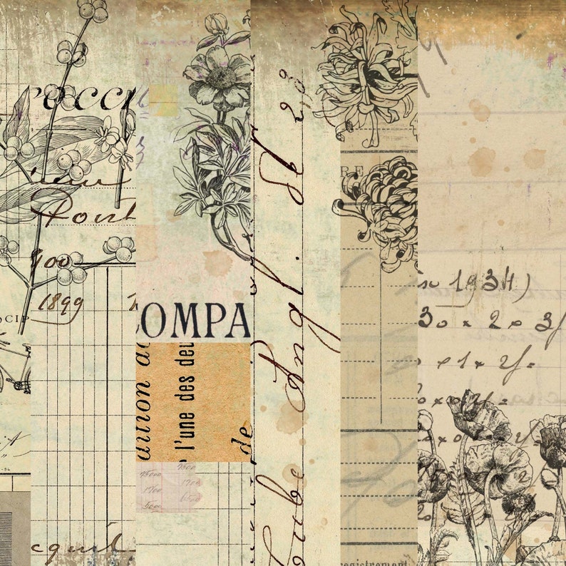 May include: A vintage-style collage with floral illustrations and handwritten text. The text includes the words "COMPA", "l'une des deu", and "be Ange".