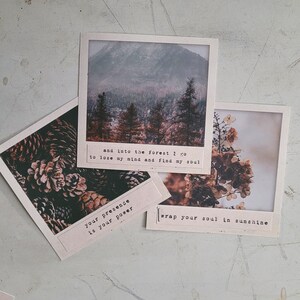 May include: Three vintage-style photo cards with nature scenes and inspirational quotes. The first card features a forest scene with the quote "and into the forest I go to lose my mind and find my soul". The second card features a close-up of pine cones with the quote "your presence is your power". The third card features a close-up of white flowers with the quote "wrap your soul in sunshine".