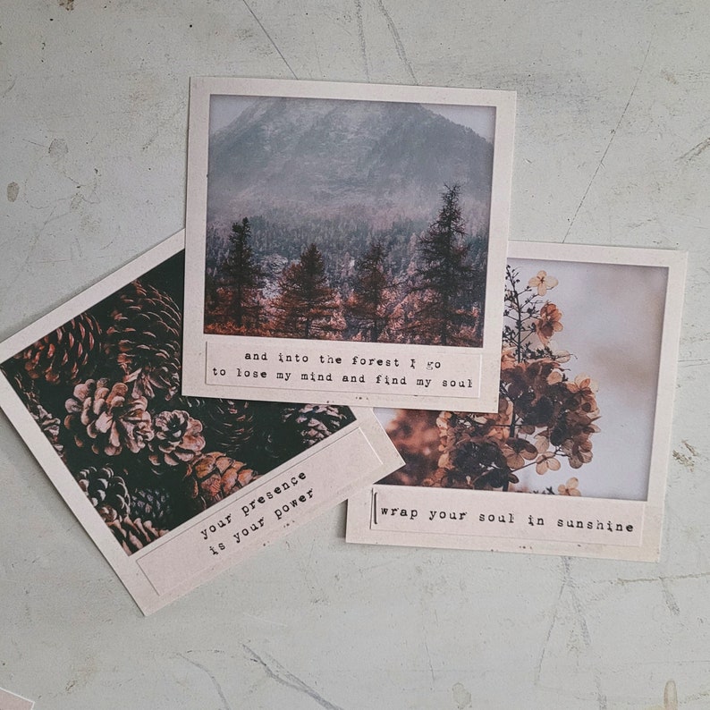 May include: Three vintage-style photo cards with nature scenes and inspirational quotes. The first card features a forest scene with the quote "and into the forest I go to lose my mind and find my soul". The second card features a close-up of pine cones with the quote "your presence is your power". The third card features a close-up of white flowers with the quote "wrap your soul in sunshine".
