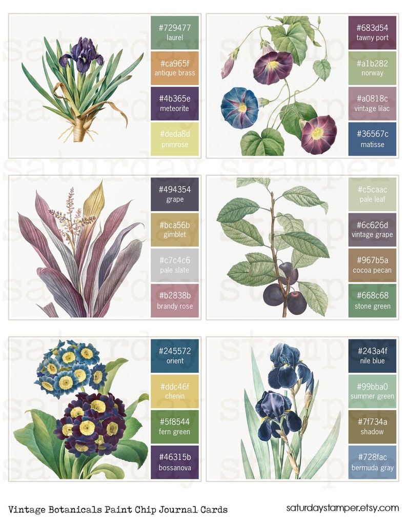 May include: Vintage botanical paint chip journal cards featuring illustrations of irises, morning glories, and primroses. The cards are labeled with color names and hex codes.