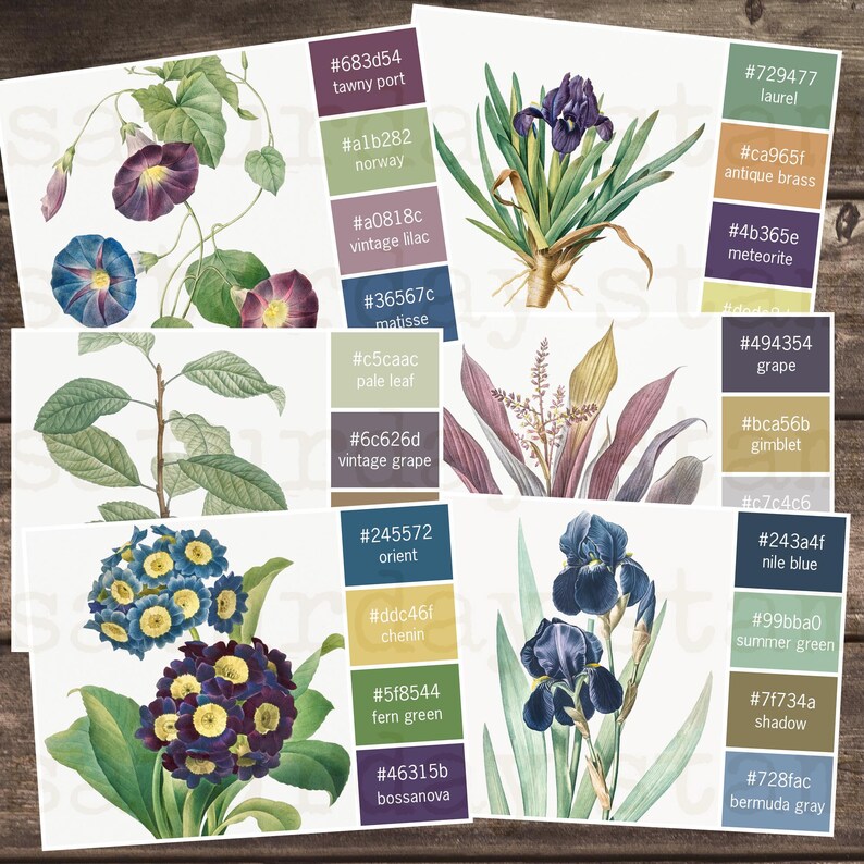 May include: A digital illustration of various flowers with color swatches and hexadecimal color codes. The flowers include a blue morning glory, a purple iris, a yellow and purple primrose, and a purple and green plant.