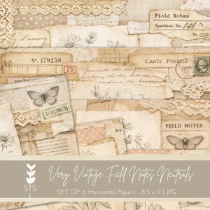 Appunti di campo, carte vintage, diario di scarto stampabile, botanica, neutri, effimere, download digitale