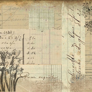 May include: A vintage, aged paper background with handwritten text and floral illustrations. The text includes numbers, dates, and French words. The flowers are black and white and appear to be chrysanthemums and irises.