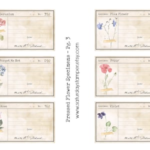 May include: Six printable vintage botanical labels with watercolor illustrations of pressed flowers. The labels include the names "Geranium", "Forget Me Not", "Rose", "Flax Flower", "Poppy", and "Violet". Each label has a space for the date and specimen number.
