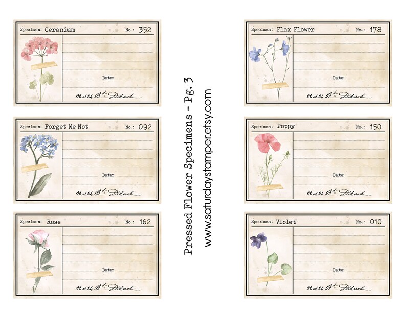 May include: Six printable vintage botanical labels with watercolor illustrations of pressed flowers. The labels include the names "Geranium", "Forget Me Not", "Rose", "Flax Flower", "Poppy", and "Violet". Each label has a space for the date and specimen number.
