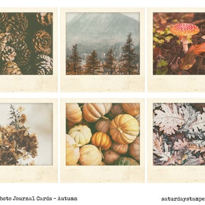 May include: Six instant photo journal cards with an autumn theme. The cards feature images of pine cones, a forest scene, a red mushroom, a pile of pumpkins, a close-up of leaves, and a flowering bush.