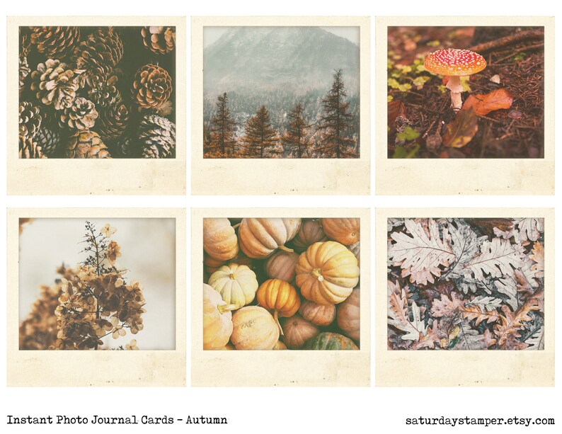 May include: Six instant photo journal cards with an autumn theme. The cards feature images of pine cones, a forest scene, a red mushroom, a pile of pumpkins, a close-up of leaves, and a flowering bush.