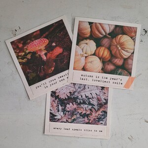 May include: Three inspirational quotes about autumn, each with a different image. The first image shows a red and white mushroom growing in the forest. The second image shows a pile of colorful pumpkins. The third image shows a close-up of fallen autumn leaves.