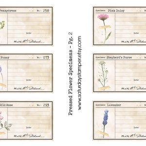 May include: Six printable vintage-style botanical labels with pressed flower illustrations. Each label has a blank space for the specimen name, number, and date. The labels are perfect for creating a personalized herbarium or pressed flower journal.