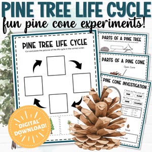Pine Tree Life Cycle Printable | Hands-On Winter Nature Study for Kids | Pine Cone Science Activities | Homeschool Science Worksheets