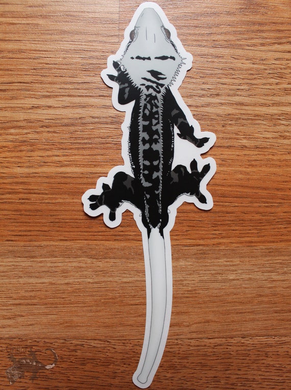 crested gecko decal