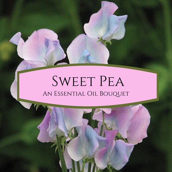 Sweet Pea Essential Oil Bouquet, Love Magic, Love Spell, Peace & Joy 