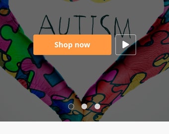 Autism Sensory Dropshipping Store WordPress Wocommerce ecommerce business dropship website