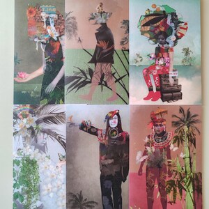 Collezione di cartoline "Le palme"