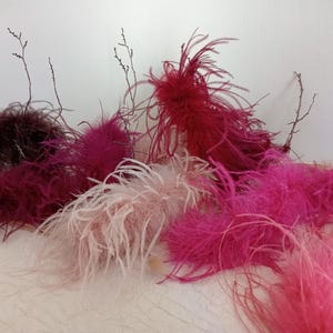 Op de afbeelding: Een verzameling kleurrijke veren in tinten roze, fuchsia en bordeaux, met een paar takjes. De veren zijn zacht en getextureerd, waardoor een zachte en levendige weergave ontstaat. Ideaal voor knutselen of decoratieve doeleinden.
