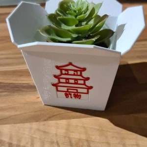 3d printed Chinese takeaway planter