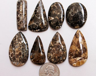 Pedra fóssil Turritella, lote de cabochões de Turritella de qualidade AAA, ágata Turritella, contas de Turritella para anéis, pingentes com arame, suprimentos para joias