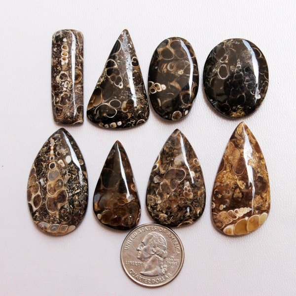 Turritella Fossil Stone, Turritella Cabochon lot AAA Quality Turritella Agate, Turritella Beads for Rings Wire-wrap Pendant Jewelry Supply