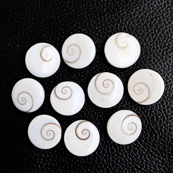 Shiva Eye Shell Round Cabochon 17x17mm, 18x18mm, 19x19mm Shiva Eye Gemstone For Pendant Necklace Jewelry Calibrated Stone