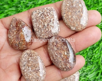Pedra fóssil Turritella, lote de cabochões de Turritella de qualidade AAA, ágata Turritella, contas de Turritella para anéis, pingentes com arame, suprimentos para joias