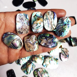 Cabochão de concha de abalone, lote de atacado de concha de abalone, pedras preciosas soltas polidas para joias, mistura de pedras de concha natural, tamanhos/formatos por quilates
