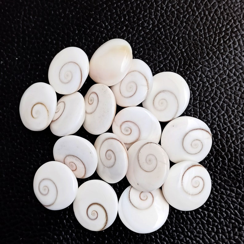 Op de afbeelding: Een verzameling witte schelpen met bruine spiraalpatronen. De schelpen zijn glad en glanzend en zijn in een willekeurig patroon gerangschikt.