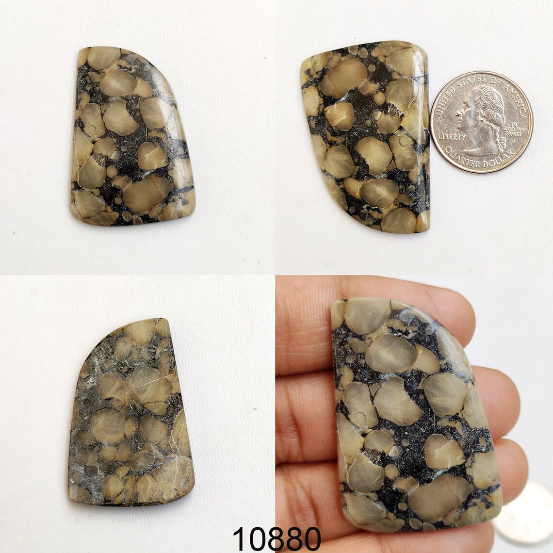 caribsea oolite caribsea oolite